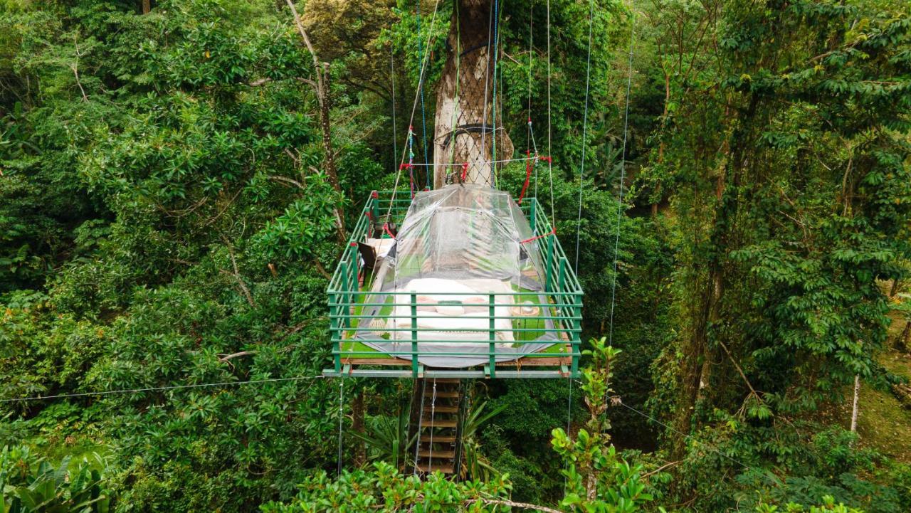 Puerto Viejo de Talamanca Hotel Boutique The Green Jungle House المظهر الخارجي الصورة