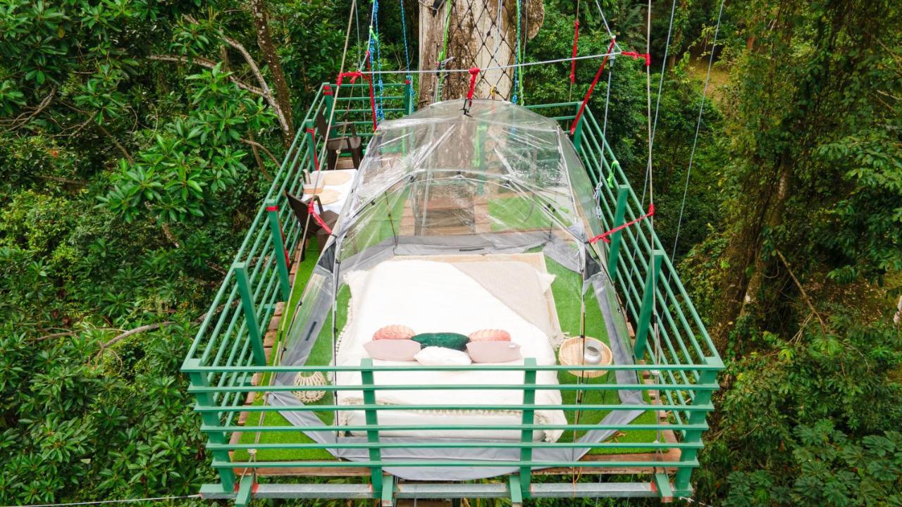 Puerto Viejo de Talamanca Hotel Boutique The Green Jungle House المظهر الخارجي الصورة