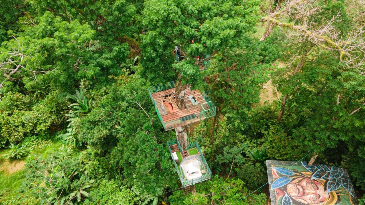 Puerto Viejo de Talamanca Hotel Boutique The Green Jungle House المظهر الخارجي الصورة