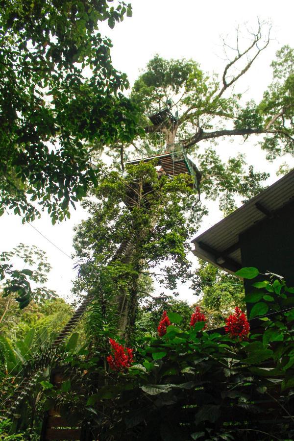 Puerto Viejo de Talamanca Hotel Boutique The Green Jungle House المظهر الخارجي الصورة