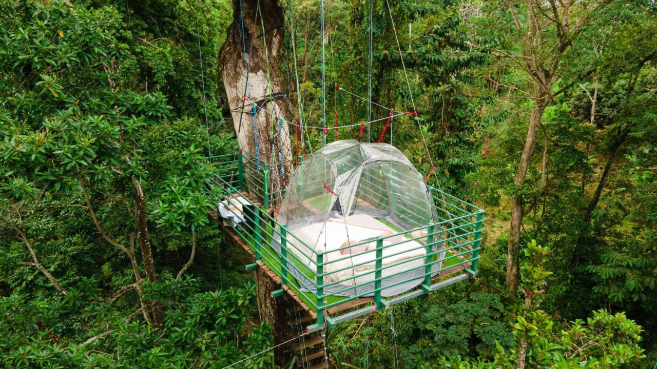 Puerto Viejo de Talamanca Hotel Boutique The Green Jungle House المظهر الخارجي الصورة