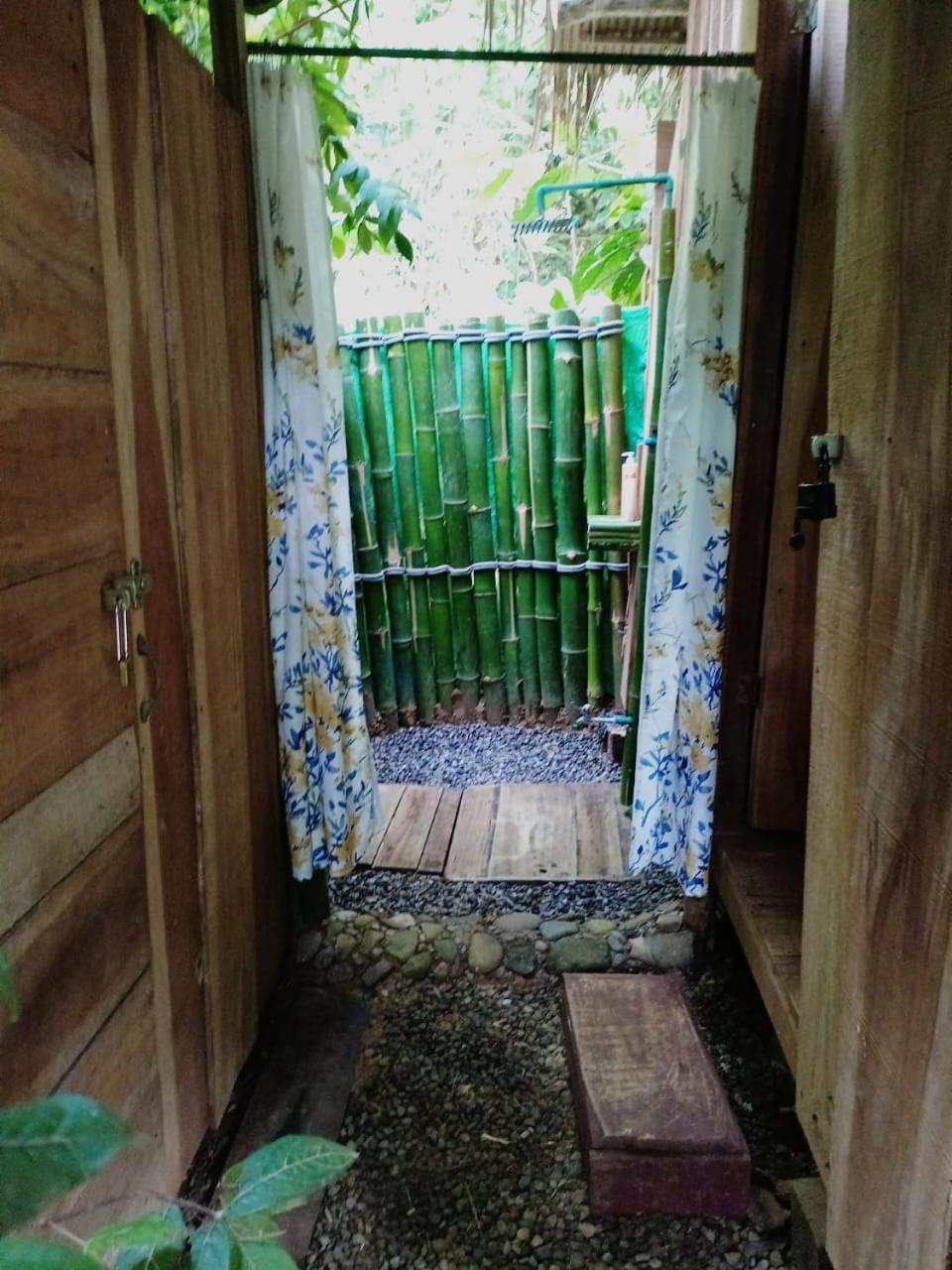 Puerto Viejo de Talamanca Hotel Boutique The Green Jungle House المظهر الخارجي الصورة